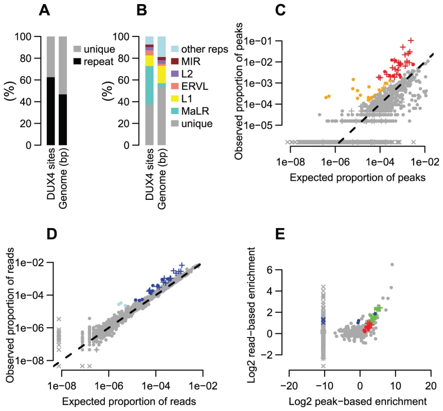 Many repeat types are enriched among DUX4 binding sites.