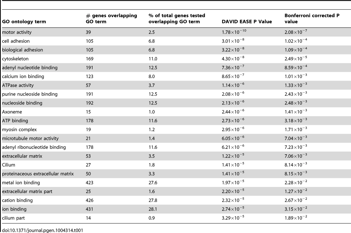 Gene Ontology (GO) terms reaching Bonferroni corrected significance for enrichment amongst the 1533 genes harbouring novel putatively functional variants in the resistant smokers, using DAVID.