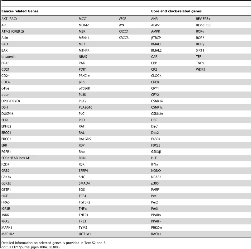 Selected cancer-related genes, core-clock genes and clock-related genes.