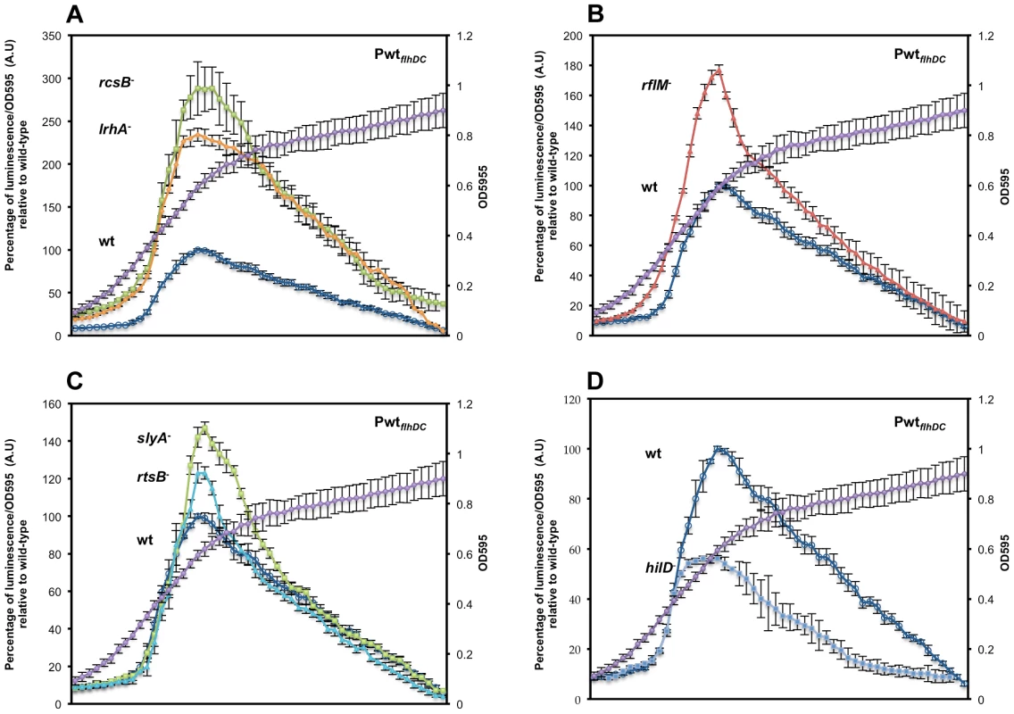 Precise transcriptional regulation of the <i>flhDC</i> operon is growth phase dependent.