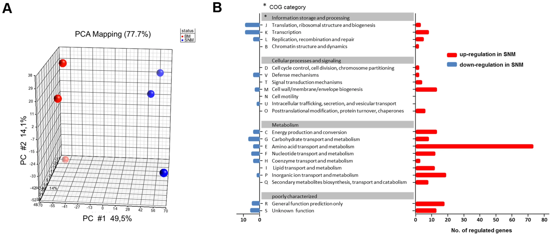 Differences in the transcriptome of <i>S. aureus</i> USA300 grown in SNM3 and complex medium (BM).