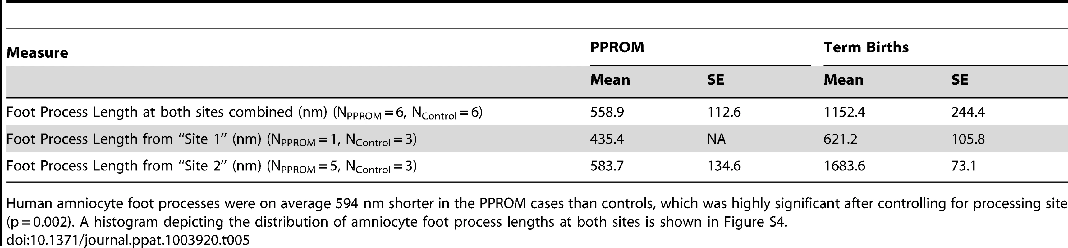 Amniocyte foot process length.