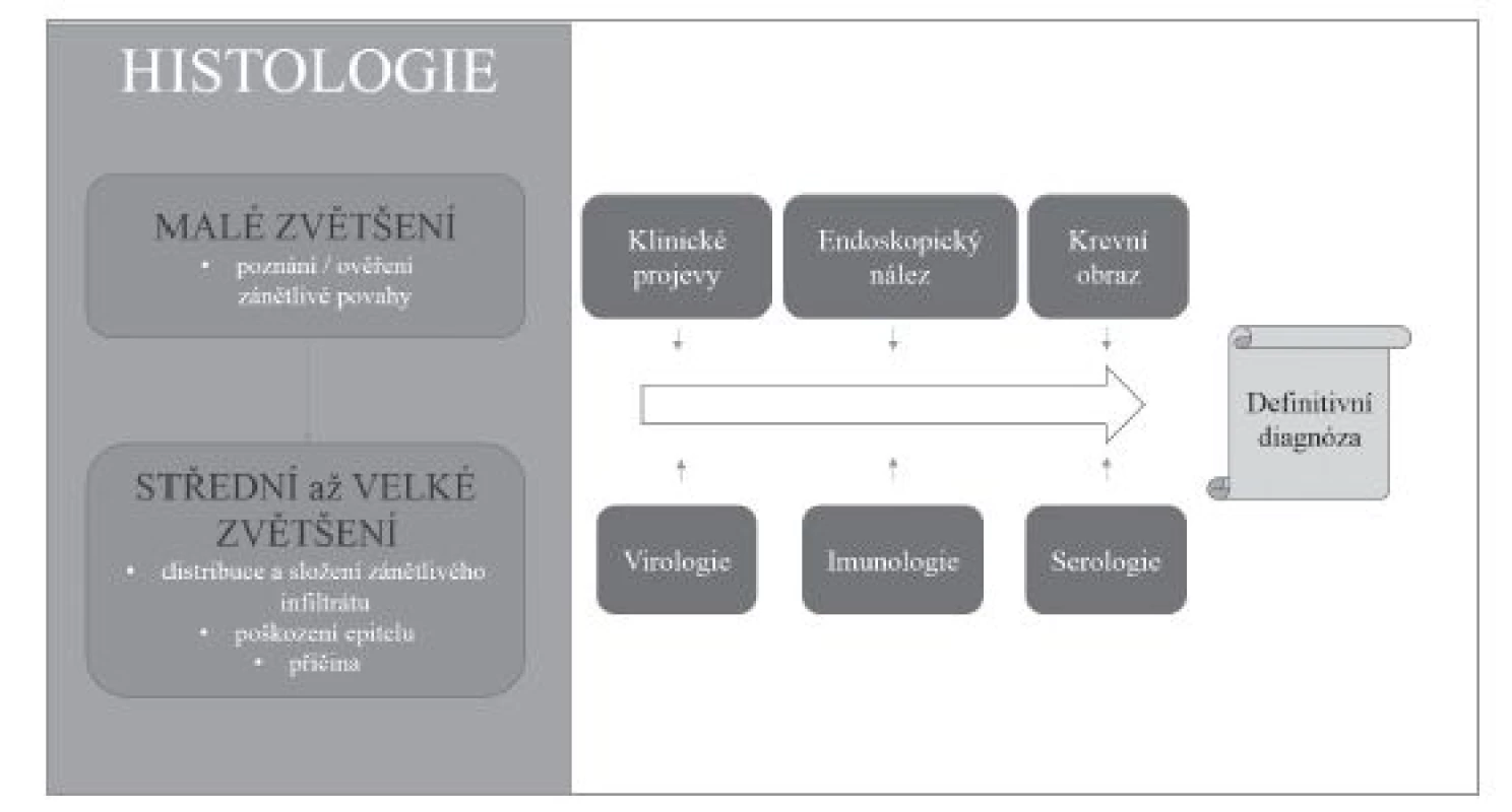 Souhrn vztahu histologického vyšetření a dalších diagnostických metod v diagnostickém algoritmu.