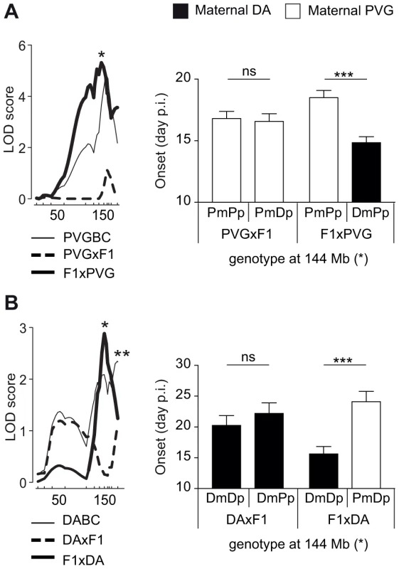Maternal transmission of the disease-predisposing allele.