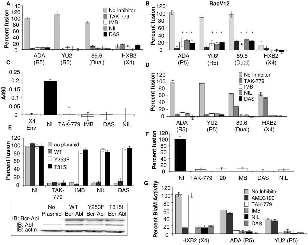 Abl kinase is required upstream and downstream of Rac for HIV-1 entry.