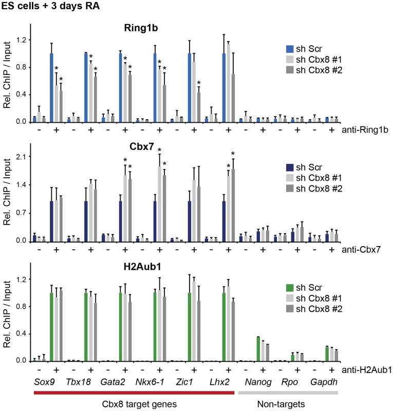 Loss of Cbx8 is partially compensated by Cbx7.