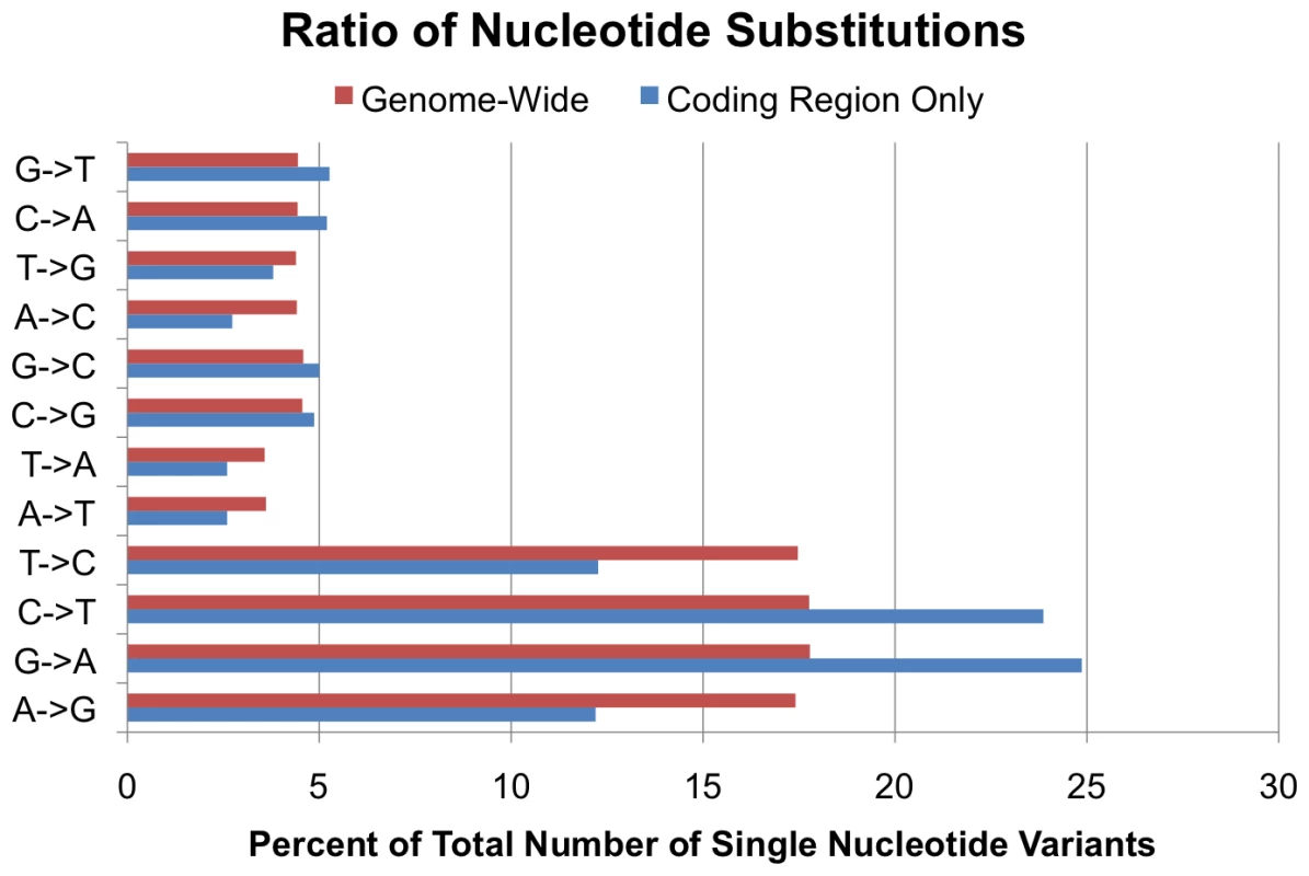 Base substitution frequencies.