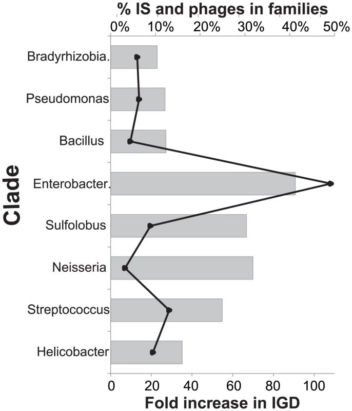 Abundance of IS and prophages and increased inference of IGD events when included in analysis.