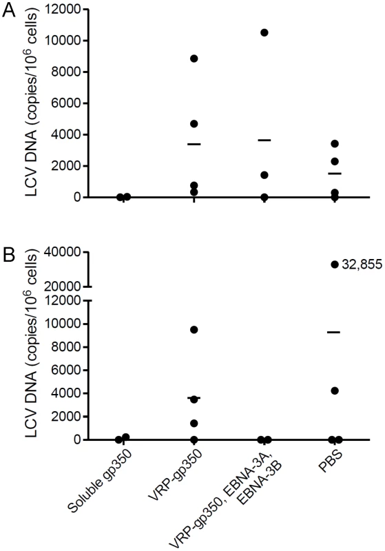 Detection of rhesus LCV DNA in the blood of monkeys immunized with soluble gp350, VRP-gp350, a combination of VRP-350, VRP-EBNA-3A, and VRP-EBNA-3B, or PBS and challenged with rhesus LCV.