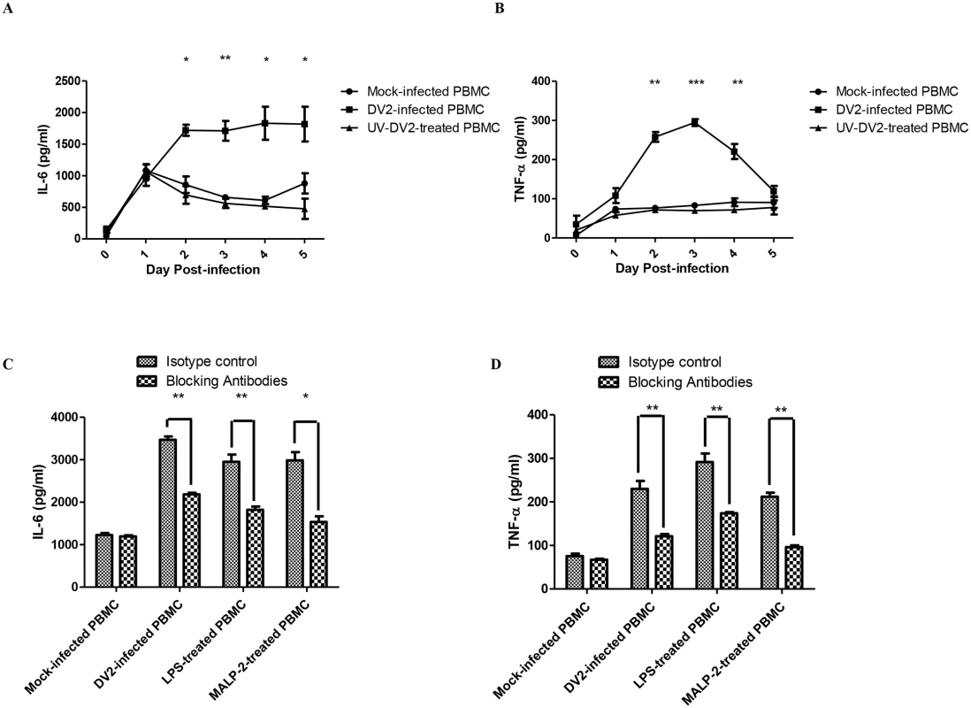 Activation of TLR2 and TLR6 of DV2-infected PBMC.