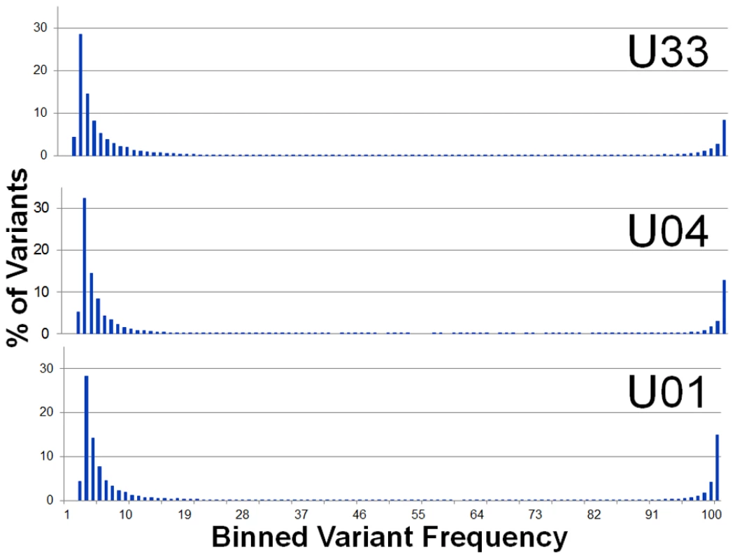 Single nucleotide variant frequencies of HCMV populations segregate into low and high frequency classes.