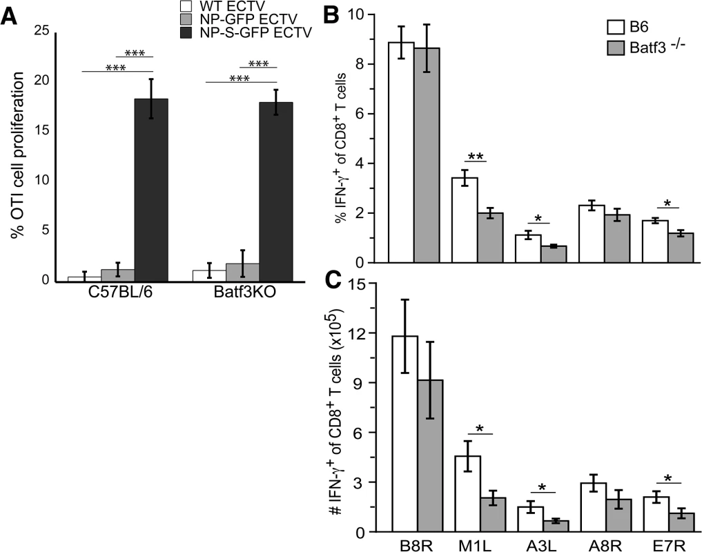 CD8 α<sup>+</sup> DCs are not required for activation of the T<sub>CD8+</sub> response to ECTV infection.
