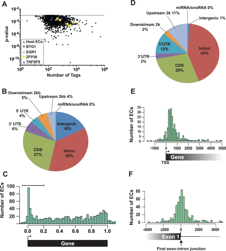 Identification and characterization of enriched clusters mapping to the human genome.