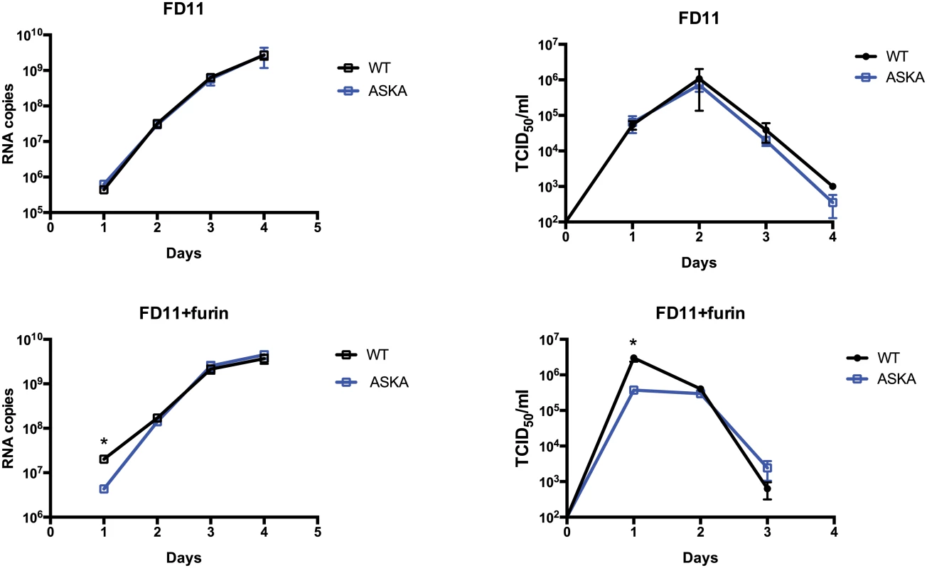 Furin effect on CCHFV-WT and-ASKA growth.