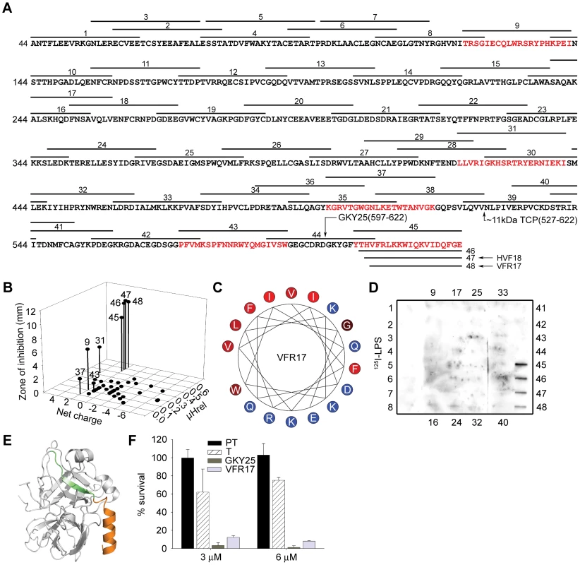 Activities of peptides derived from prothrombin.