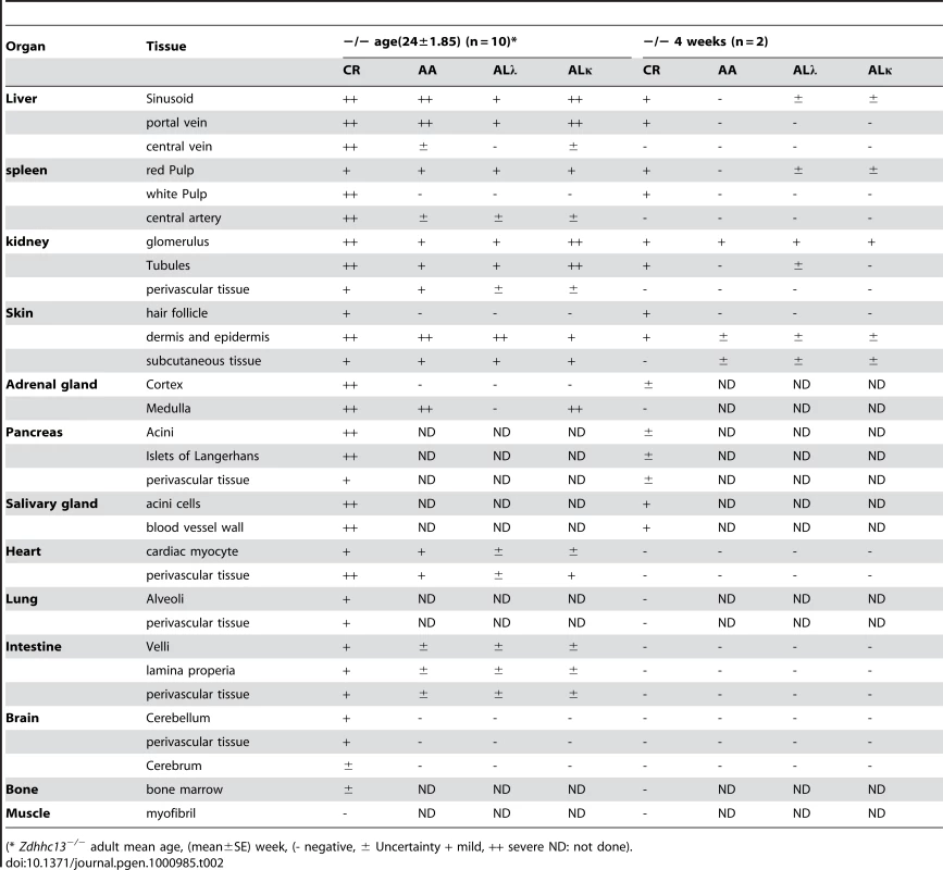 Distributions and amyloid type in various tissues of the affected mice using Congo-Red Stain and immunohistochemistry.