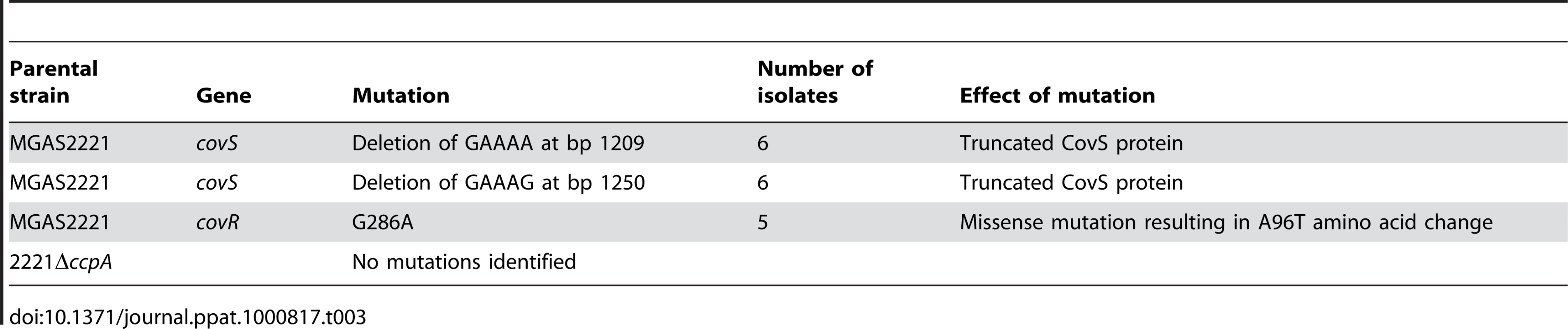 <i>covRS</i> mutations detected in GAS isolates from mice spleens following intramuscular inoculation with strain MGAS2221 and 2221Δ<i>ccpA</i>.