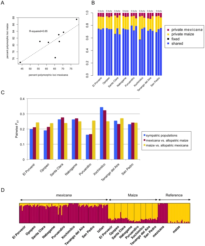 Population-level polymorphism and differentiation.