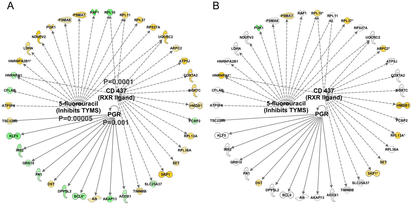 Quantitative SAM analysis using a continuum of age versus gene expression produces network hubs that are activated with human muscle age.