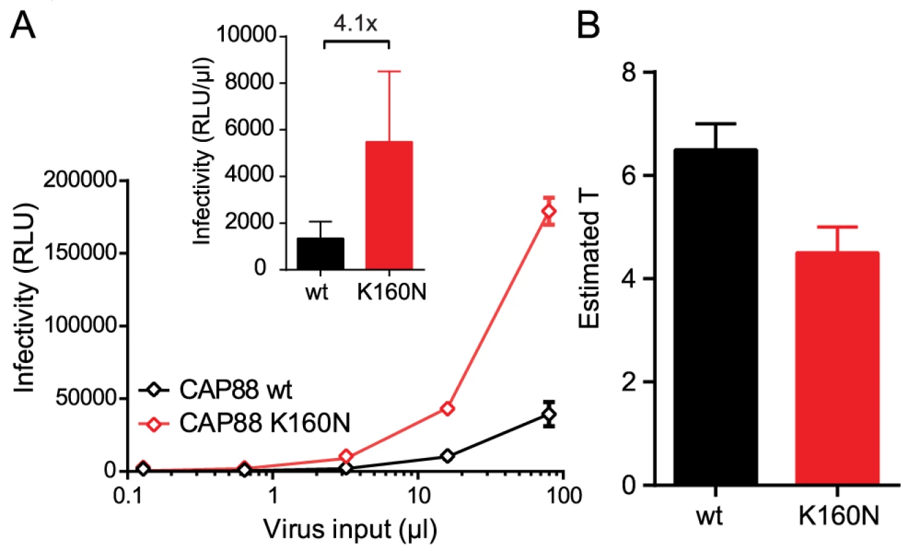 Loss of the N160 glycosylation site in gp120 steers the stoichiometry of entry and virus infectivity.