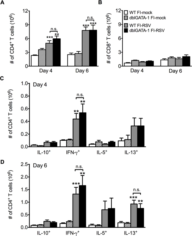 Absence of eosinophils does not affect T cell responses.