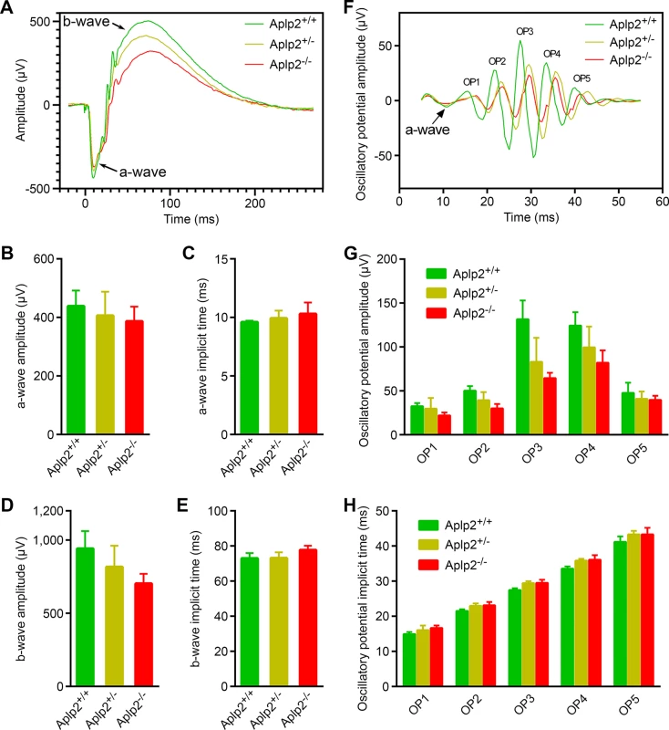 Analysis of scotopic electroretinograms in the <i>Aplp2</i> knockout mice.