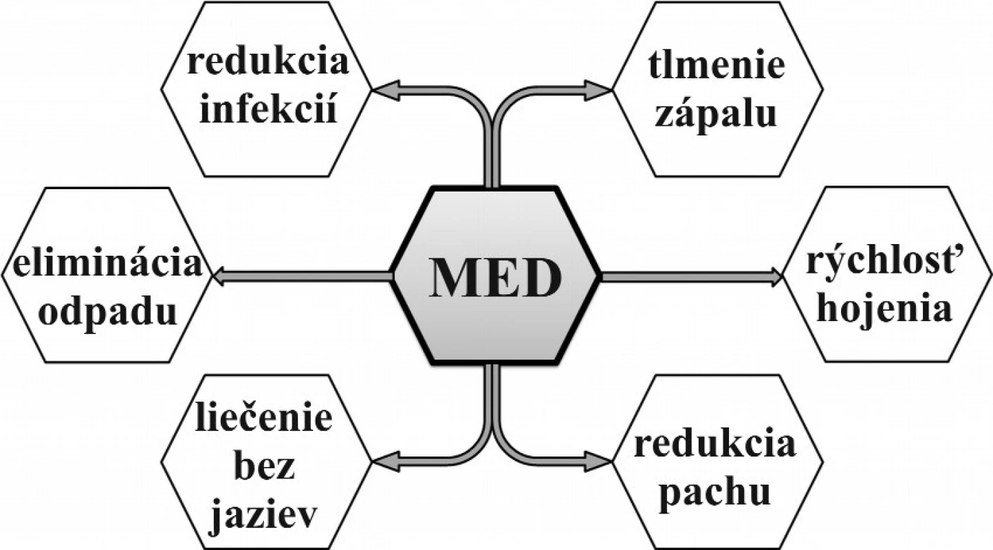 Schematické znázornenie účinkov medu pri liečení chronických rán
Fig. 1. Diagrammatic representation of the effects of honey in the treatment of chronic wounds