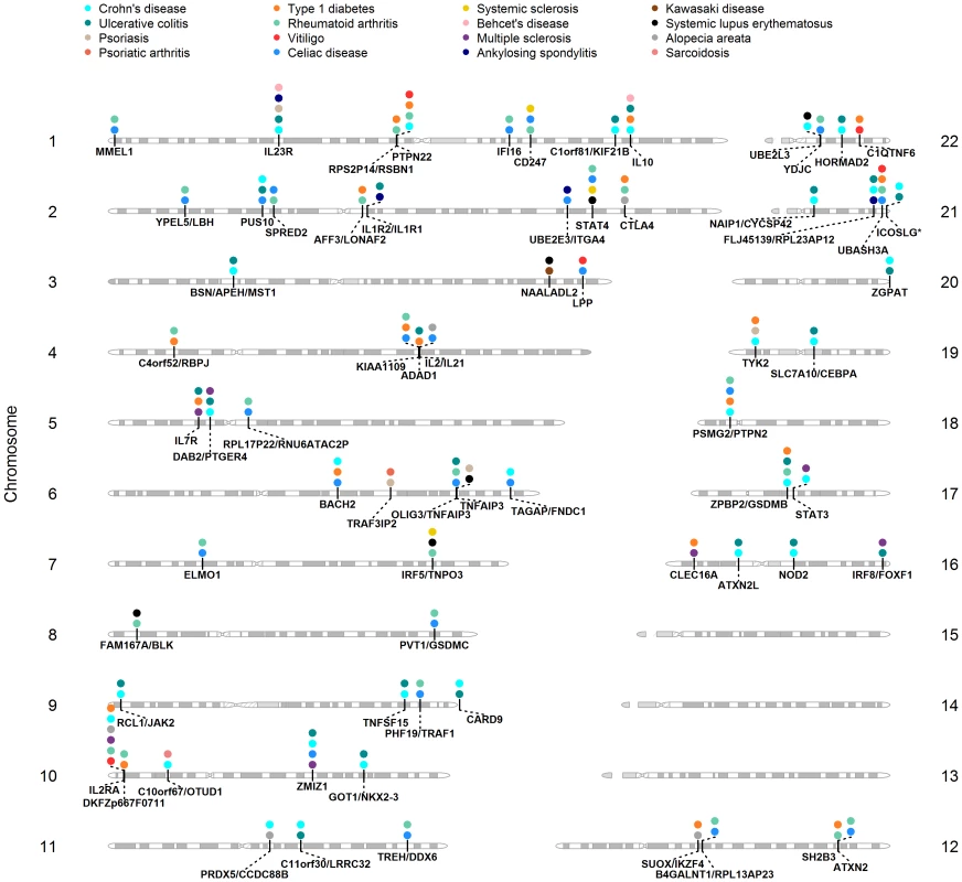 Shared <i>loci</i> between GWAS of ADs.