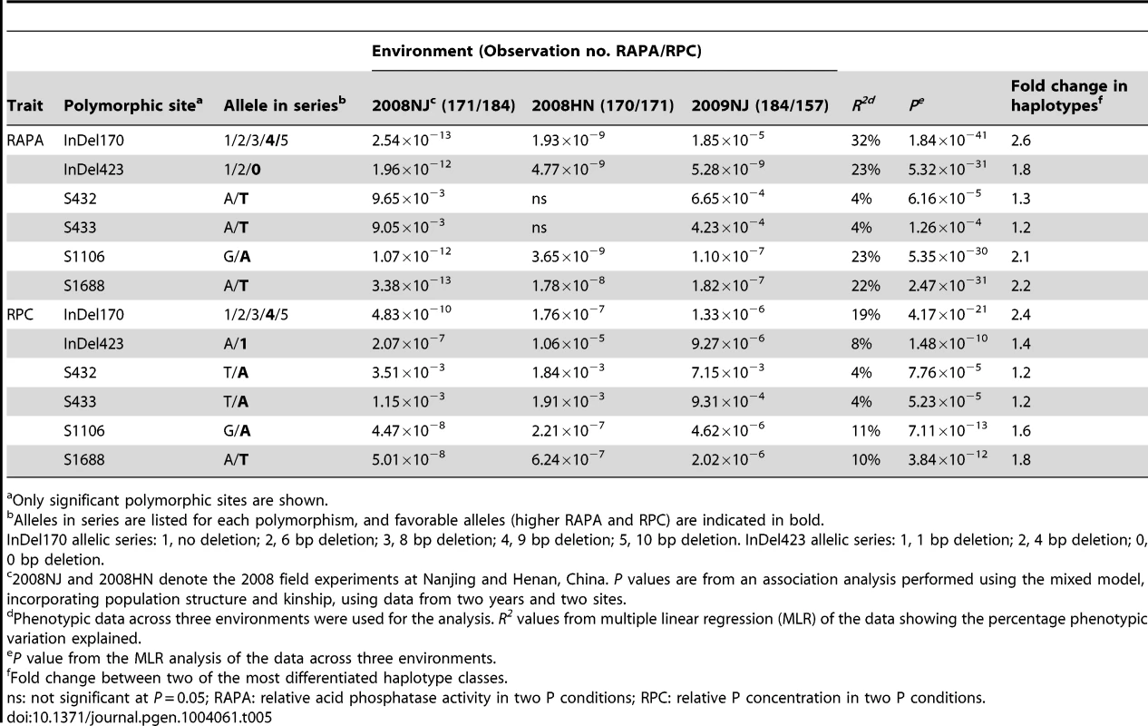 <i>GmACP1</i> polymorphisms associated with phosphorus (P) efficiency traits in diverse soybean accessions.