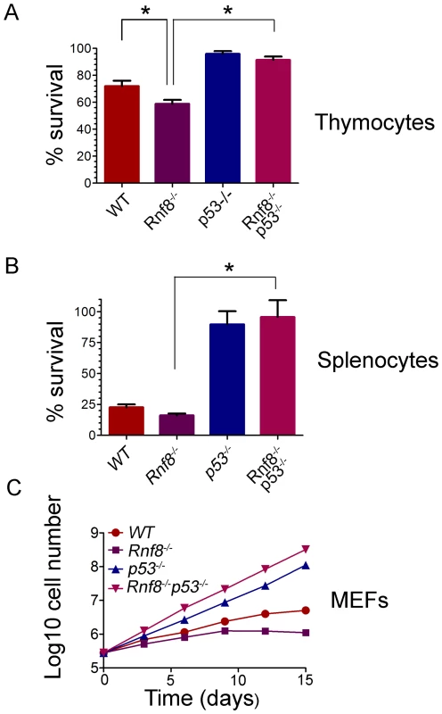 Radioresistance and increased proliferation of <i>Rnf8<sup>−/−</sup></i> cells in the absence of p53.