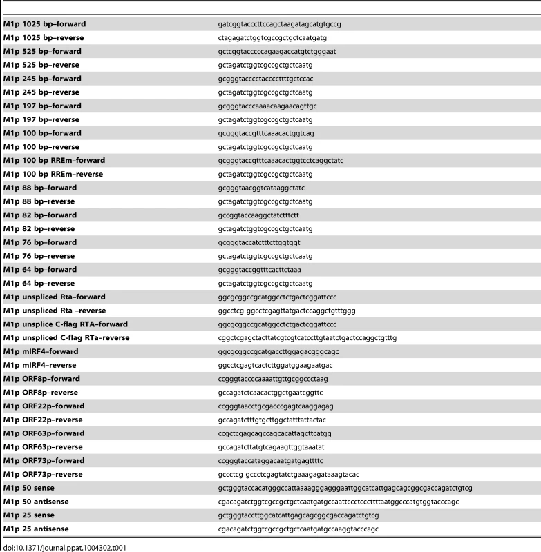 Oligonucleotide primer sequences.