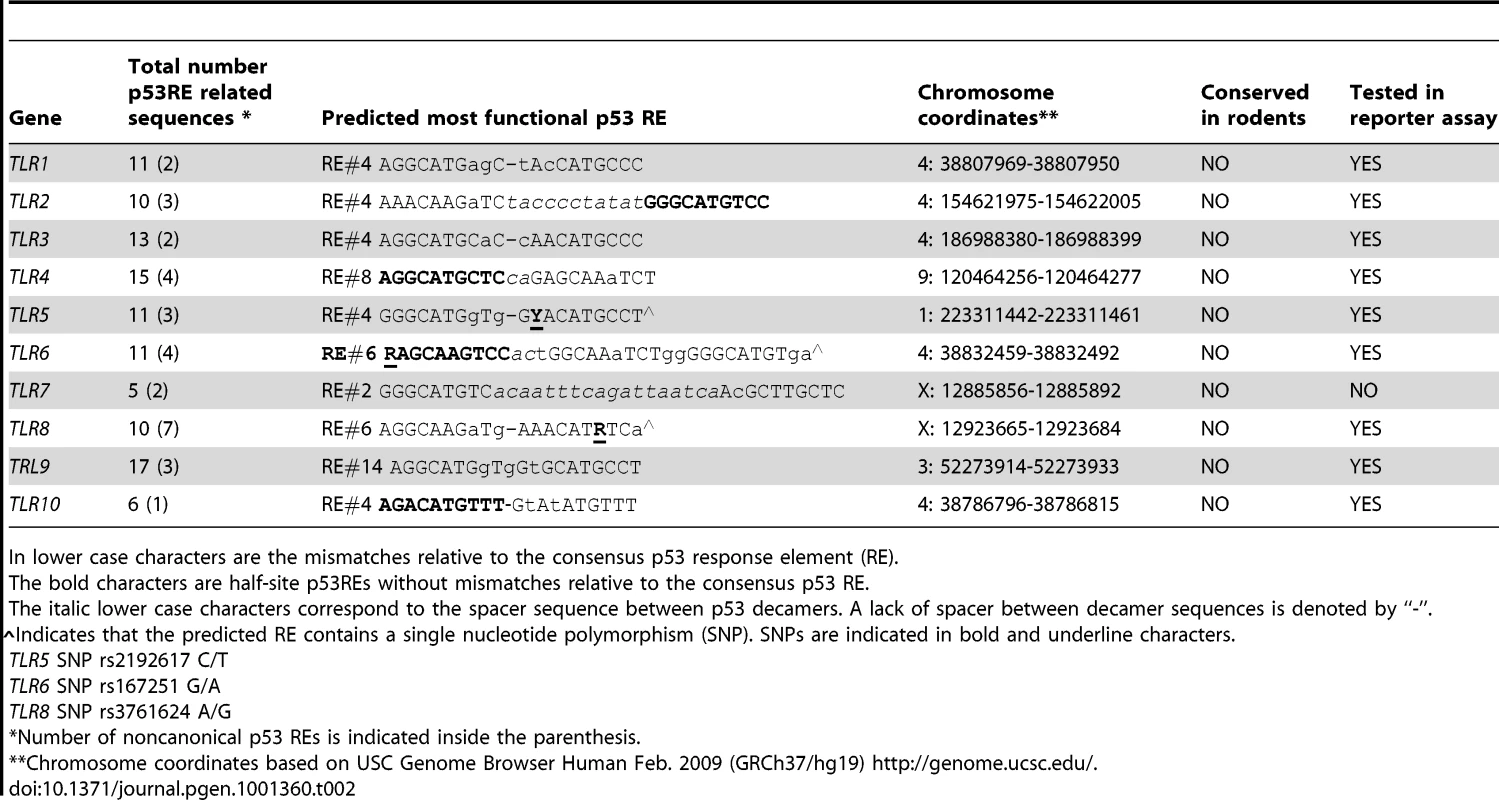 The p53RE-related sequence that is predicted to have the greatest function in the promoter regions (±5 kb from transcription start site) of human <i>TLR</i> genes.