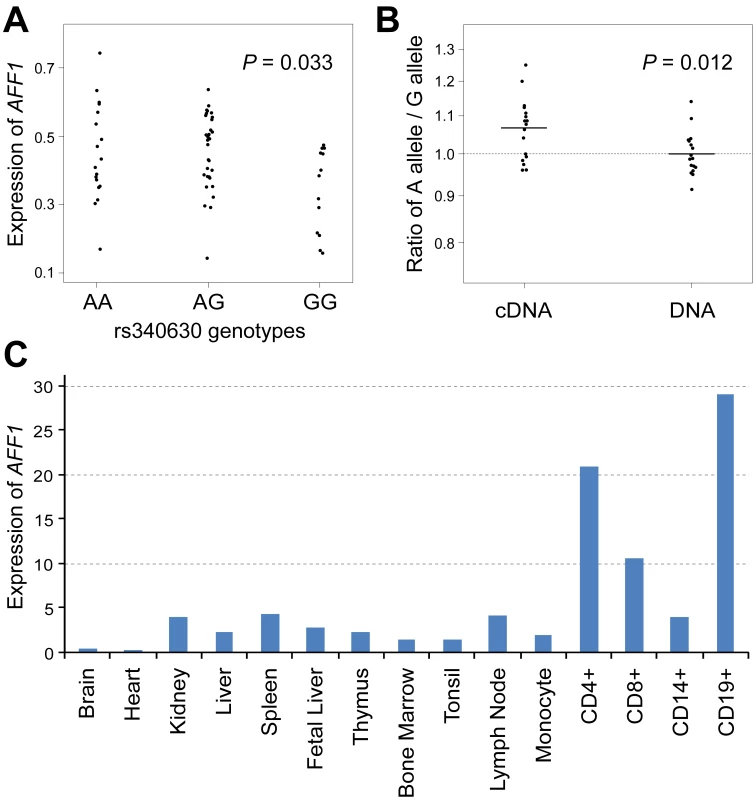 Association of rs340630 with <i>AFF1</i> expression.