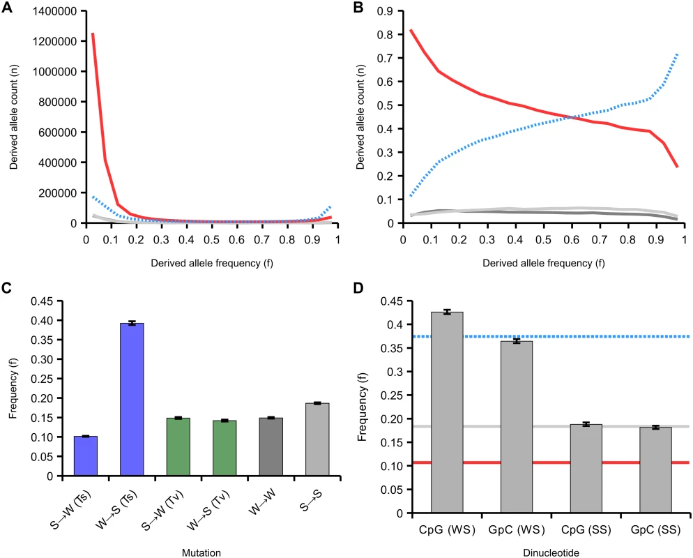 Site frequency spectrum of derived variants.