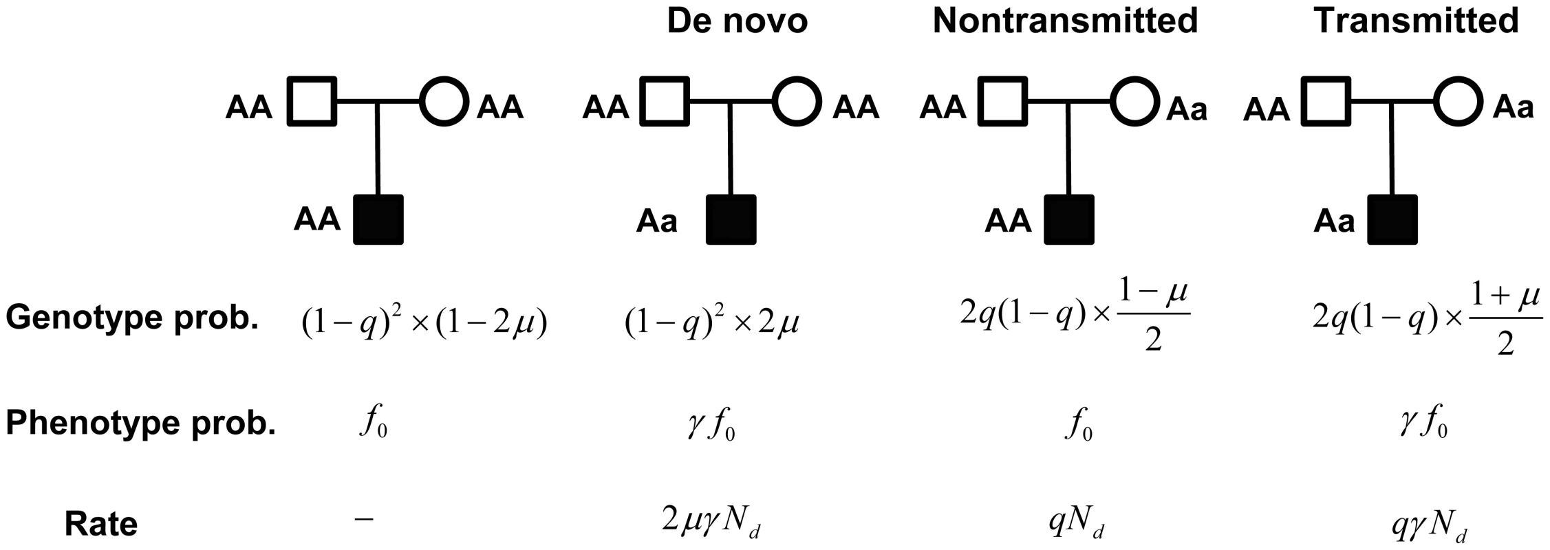 A probabilistic model for a family trio with an affected child.