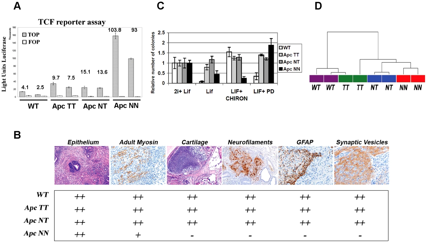Wnt signaling regulates the differentiation potential of mouse ESCs in a dosage-dependent manner.