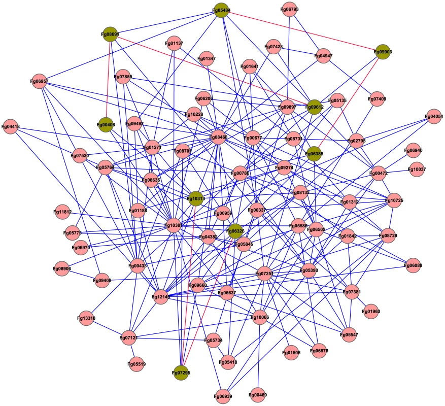 The predicted interactome of protein kinases in <i>F. graminearum</i>.