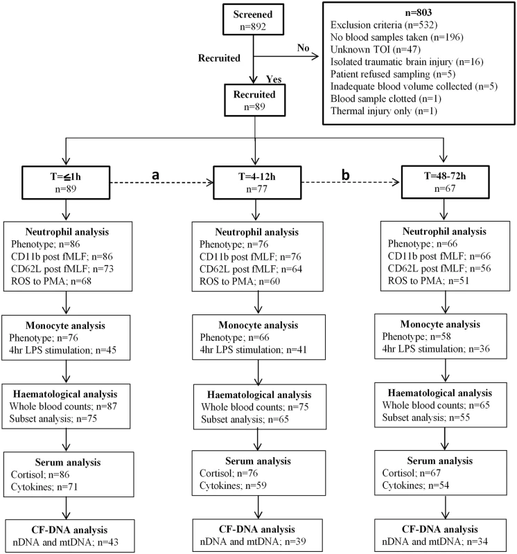 Flow diagram showing recruitment and analysis of study subjects.