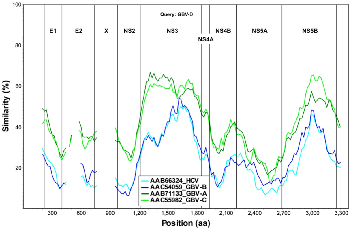 Sliding window similarity analysis between GBV-D and other GBV and hepaciviruses (amino acid sequence; window, 160; step, 20).