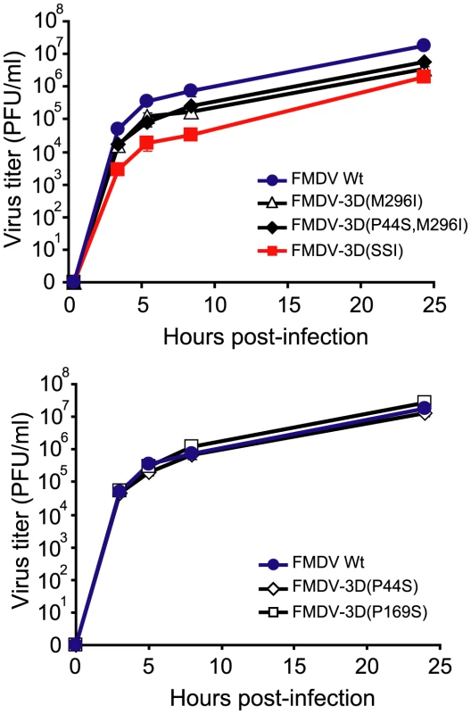 Progeny production in BHK-21 cells infected with viruses encoding mutant polymerases.