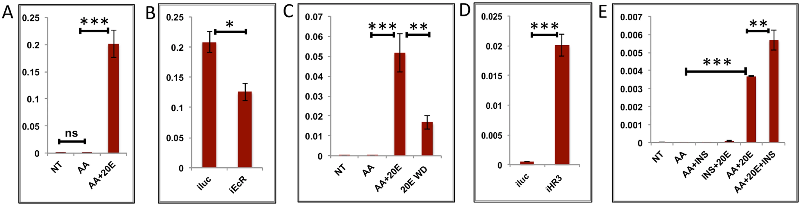 Effects of AAs, 20E, insulin and HR3 on YPP genes.