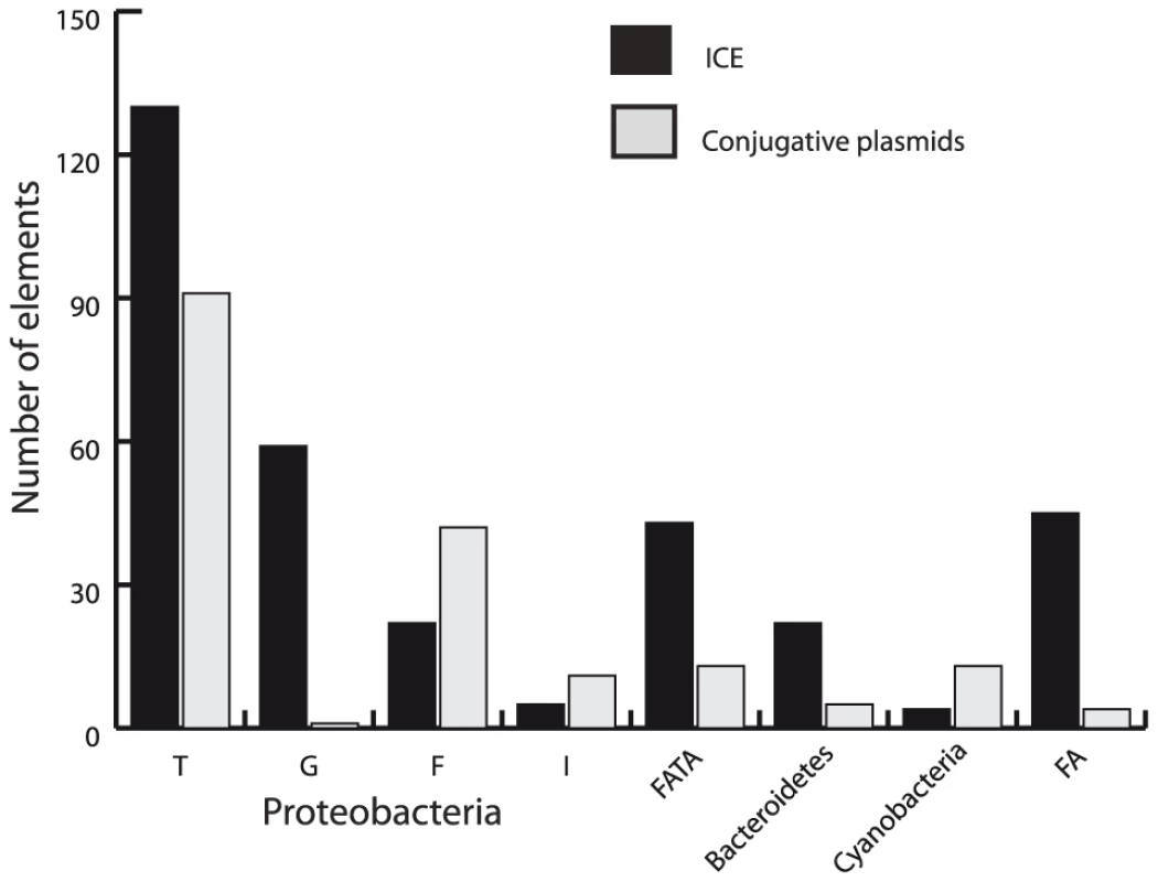Distribution of ICEs and conjugative plasmids in the different groups of the VirB4 phylogenetic tree.