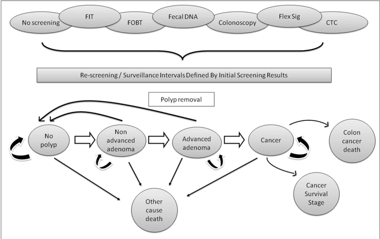 Model bubble diagram.
