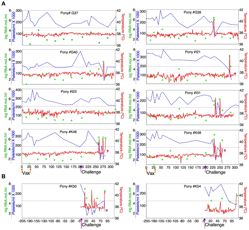 Clinical and virological profiles of ConD9 vaccine trial group.
