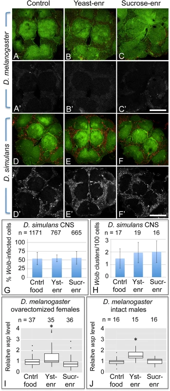 Host diet has tissue-specific effects on somatic <i>Wolbachia</i> titer.