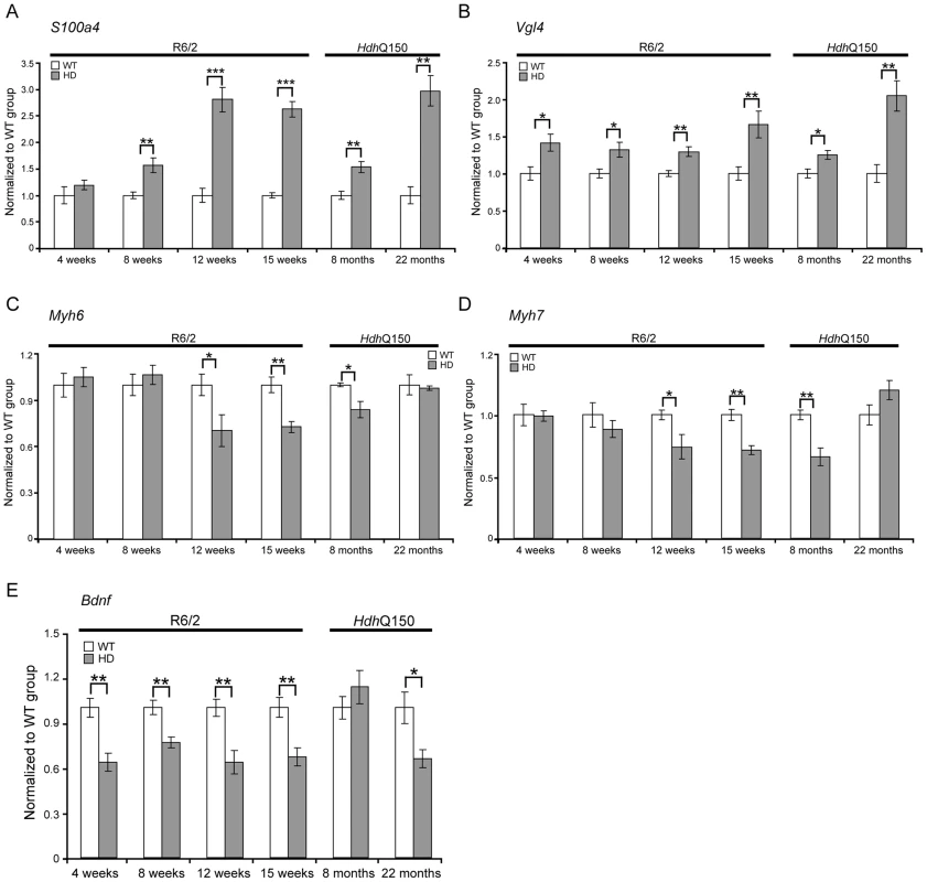 Transcriptional deregulation of gene markers involved in pathological processes.
