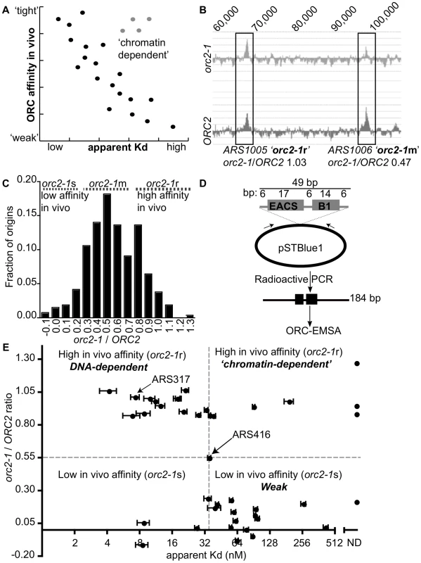 Classifying yeast origins based on the contribution of the ORC-origin-DNA interface to the strength of the ORC-origin interaction in vivo.