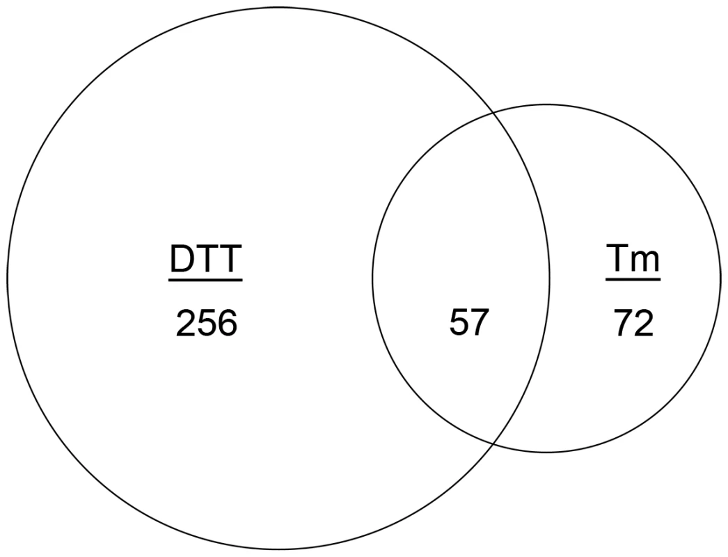 Identification of the core inducible UPR of <i>A. fumigatus</i>.