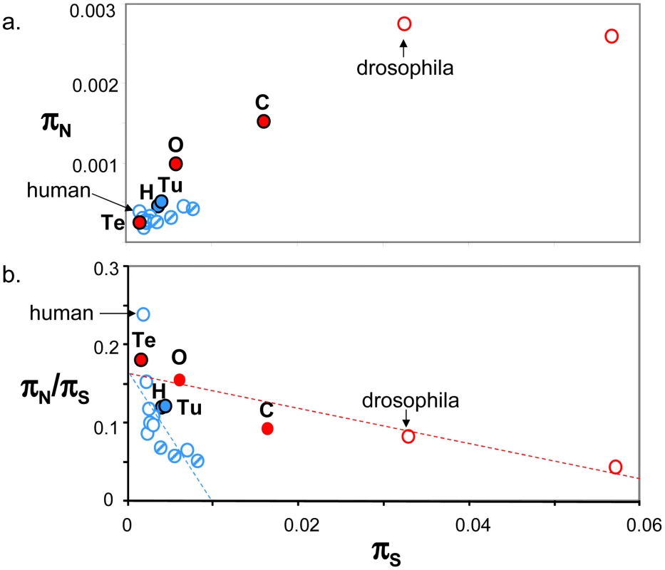 Published estimates of genome-wide π<sub>S</sub>, π<sub>N</sub> and π<sub>N</sub>/π<sub>S</sub> in animals.