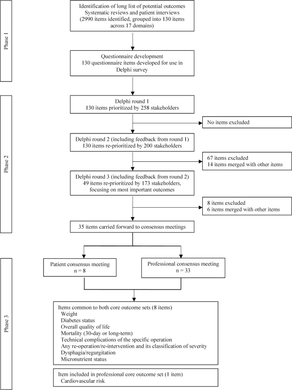 Summary of the development of a COS for bariatric and metabolic surgery.